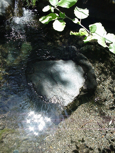  a wonder of the world... this beautiful heart shaped stone is a sitting place beneath this tiny waterfall...