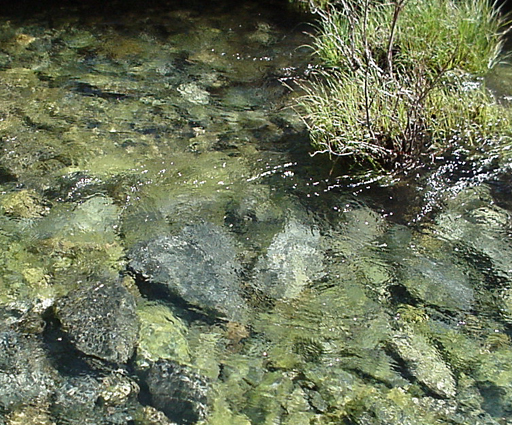 heart rock creek!